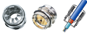 conectores_glandulam2