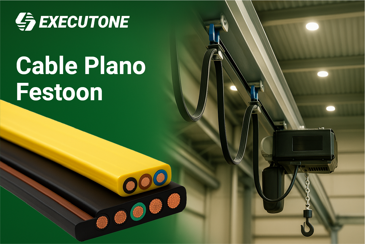 Cable Plano Festoon